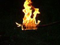 /album/maja-agentura-pro-deti-a-mladez/dscf8176-jpg/